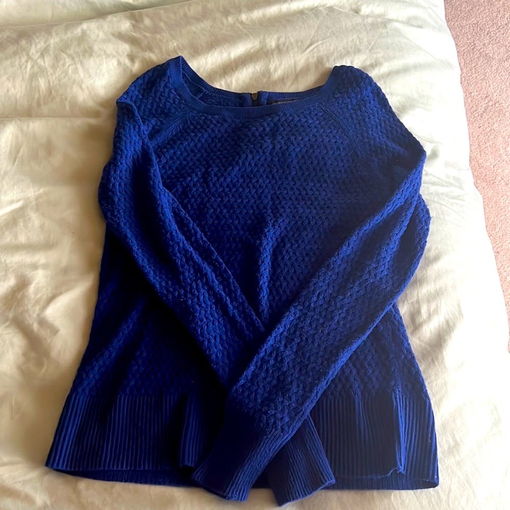 Royal Blue AE Zip Back Sweater